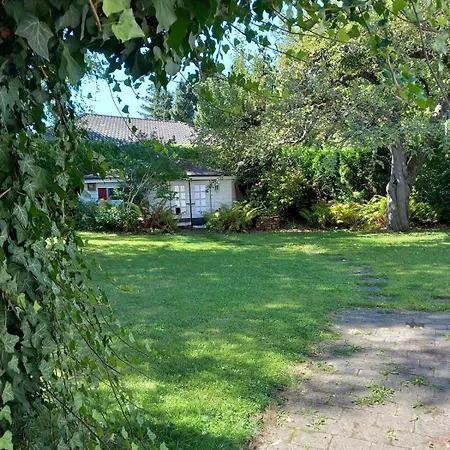 Large House With Large Garden