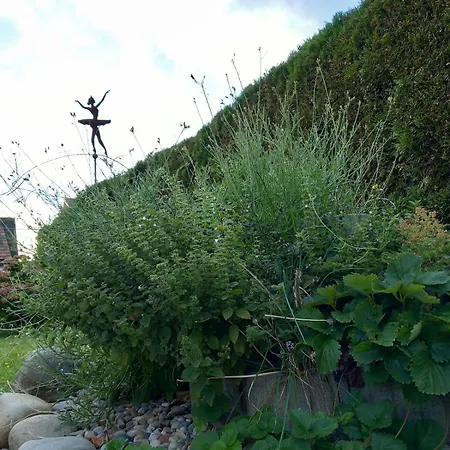 Large House With Large Garden Nyaraló Lauterach