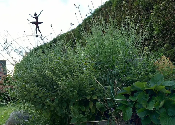 Large House With Large Garden Feriehus Lauterach